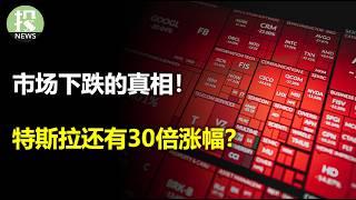 今天市场终于开始大回调了吗？川普1.0时代，市场发生了什么？巴菲特建仓这只股，堪比可口可乐；著名投资人声称，特斯拉还有30倍！英伟达超前的AI布局