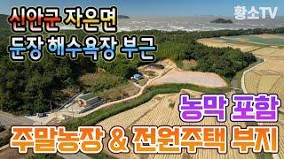 [전남토지매매] #1701 신안군 자은면 둔장해수욕장 부근 농막 포함 주말농장 & 전원주택 부지 매매가 5,900만원