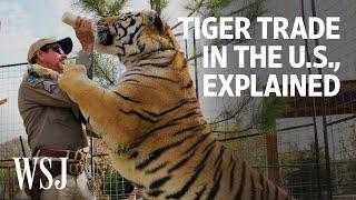 The World Behind ‘Tiger King’: Why There Are So Many Big Cats in the U.S. | WSJ