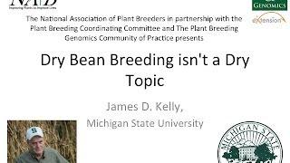 Dry Bean Breeding Isn't a Dry Topic Webinar