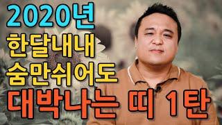 2020년 띠별운세  1탄  대박나는 띠, 조심해야할띠