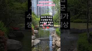 범어동 두산위브 109동 53평 매매