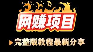 最新灰产 网赚项目 2025网络赚钱 搬砖 捞偏门首选项目 网赚 零风险赚钱平台，每天稳定收益几百美金，上不封顶  新手完整版视频教学（小A聊赚钱）