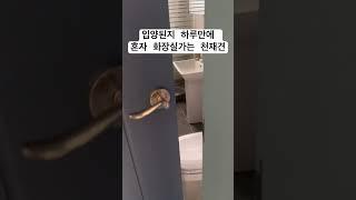 입양한지 하루만에 혼자 화장실가는 천재견 초코 #유기견입양 #유기견 #배변훈련