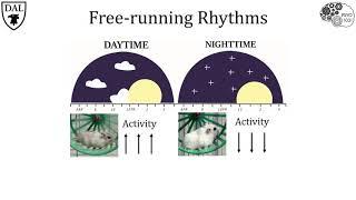 Tricky Topics: Rhythmic Nature of Sleep