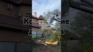 Демонтаж зданий — от сарая до многоэтажки #сносзданий #демонтаж #снос