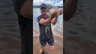 Beautiful Beast: Here Is Seven Fishing At Antero Reservoir In Hartsel, Colorado: #fishing #shorts