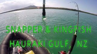 CATCHING SNAPPER & YELLOWTAIL KINGFISH IN THE HAURAKI GULF, NZ