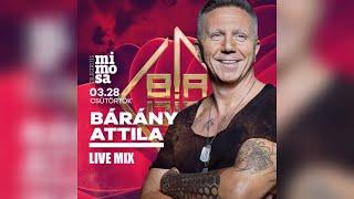 Bárány Attila @ Mimosa Zalaegerszeg 2024.03.28. Live Mix