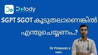 കരളിന്റെ പരിശോധന ചെയ്യണോ ? Is your SGPT, SGOT Test  High? Does that mean Liver Damage? 🩺 Malayalam