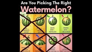 How to Pick the Perfect Watermelon at the Store or Farmer's Market!