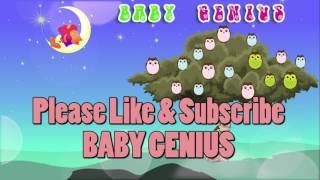 天才寶寶 BABY GENIUS 廣告