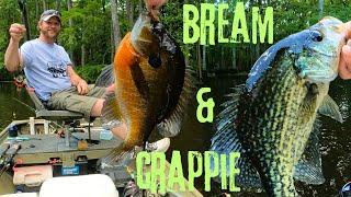 Catching Bream and Crappie - Fishing in the swamp - Jigs and bobbers