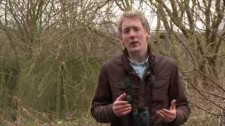 Wild About Shropshire with Ben Waddams - Snipe and Others