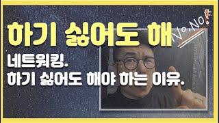 진짜 #인맥관리 이게 달라요. #네트워킹 하기 싫어도 해야만 하는 이유와 방법 (feat 하버드 자료)