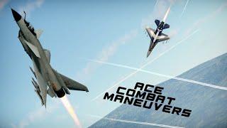 J-10 Ace Combat Maneuvers VS F-16