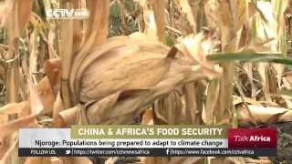 Talk Africa: China Africa Agriculture Co operation