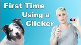 How to start CLICKER TRAINING