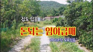 돈버는 임야급매-집도포함