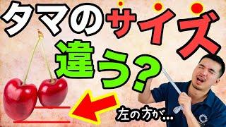 左右のタマの【大きさ】と【高さ】が違う人は要注意！