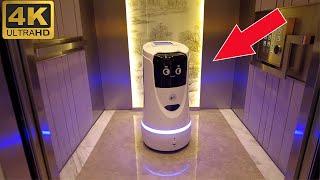 Checking into a Chinese Robot-Staffed Hotel: A Futuristic Experience You Won't Want to Miss!