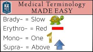 Medical and Nursing Terminology MADE EASY: Prefixes [Flashcard Tables]