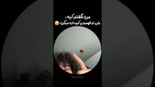 هیس!️ #افشار #afshar #afshartik #manix #aliztory
