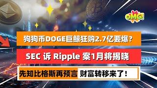 鲸鱼狂收DOGE96 小时内转移了2.7 亿狗狗币！SEC 诉 Ripple 案有望在1月份完美解决！先知比格斯再发预言，圣诞节后财富大转移将开启！｜未来之声HuanTV