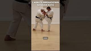 Seishan Kata: Irimi, Kuzushi drop/strike control #shorts