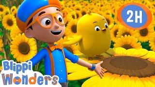 Spring Chick | Blippi Wonders | Preschool Learning | Moonbug Tiny TV