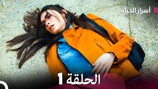 أسرار الحياة الحلقة 1 (Arabic Dubbed)