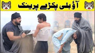 Billi Best Prank | @Velle Loog Khan Ali | @Sahara Bano Khan Ali