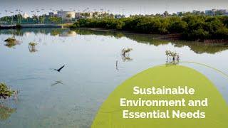 KAUST New Strategy: Sustainable Environment and Essential Needs