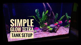 Simple glow tetra tank setup 