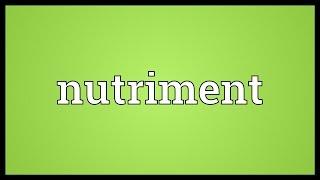 Nutriment Meaning