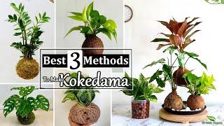 Best 3 Methods to Make Kokedama at Home | How to Make Moss Ball for Indoor Plants//GREEN PLANTS