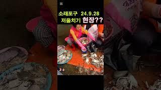 소래포구 24.9.28 난전어시장 저울 바꿔치기 현장??