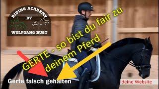 F18 Mit Gerte Pferde reiten. Wirkung der Gerte! Gerte richtig halten! Zeitpunkt beim Treiben.