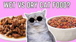 Choosing the Perfect Cat Food | Guide to Feline Nutrition and Health