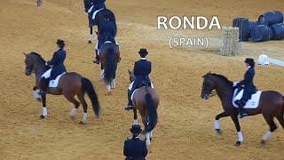 SPAIN horse show Ronda (May 2016)