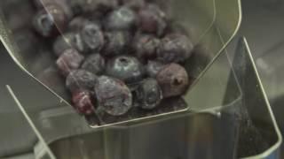 Weighing and depositing blueberries