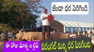 March 6#ఈరోజు మిర్చి ధర పెరిగింది|| #Warangal Market mirchi jenda rate #వరంగల్ మార్కెట్ ధరలు.....