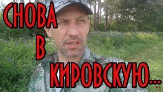 Снова в Кировскую