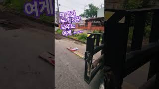 #진해성 꽈자 지게차 위에 과자발견  #윤탱이네  윤탱이 출동^^