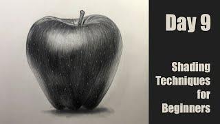 Day - 9 | Pencil Shading Techniques for Beginners | Shade an Apple | How to Imaprove Pencil Shading