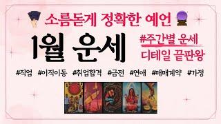 [타로] 1월 운세 +) 주간 별 디테일 리딩 - 직업/이직이동/취업합격/연애/매매계약