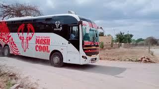 Mash cool bus company