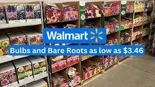 NEW ARRIVALS| Shopping at Walmart for Bulbs and Bare Roots to Plant in Spring