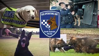 PAWTY TIME: Dog Operations Unit celebrates 50 years