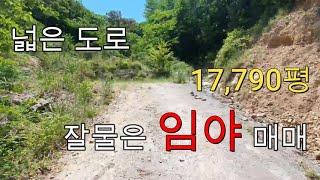 매물45. 산내면 공기,도로좋은 임야매매#밀양임야매매#산내면임야#산약초재배